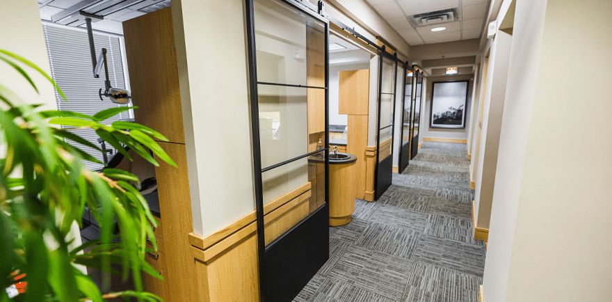 A hallway featuring a decorative plant beside a closed door, creating a welcoming and serene atmosphere